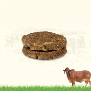 Chhana (Dry Cow Dung Cakes)