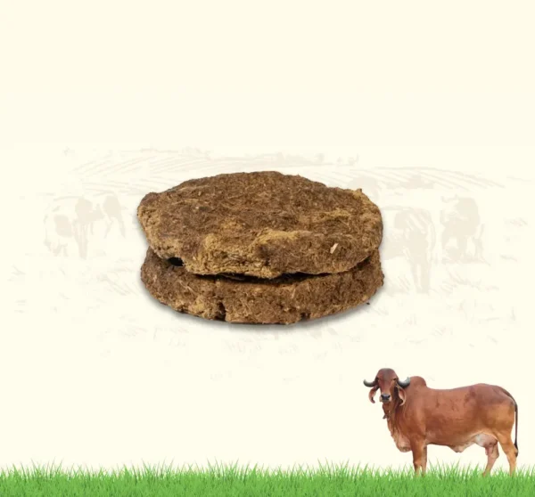 Chhana (Dry Cow Dung Cakes)