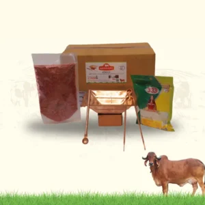 Havan Patra Kit