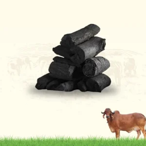 Kolsa
