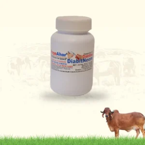 Neem Capsul